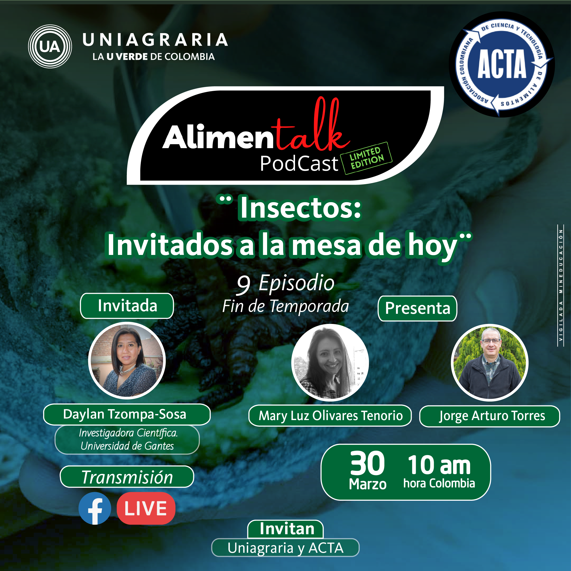 PodCast – Insectos: invitados a la mesa de hoy