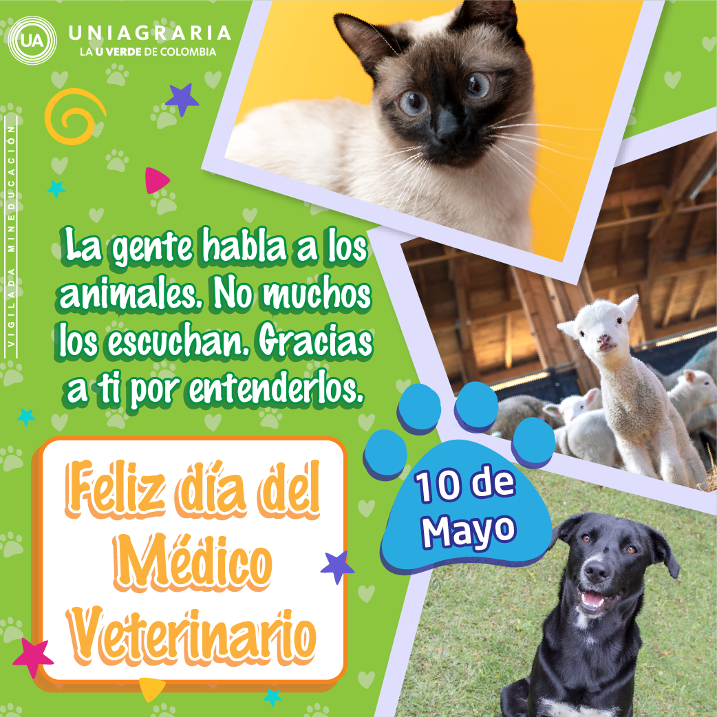 Feliz día del Médico Veterinario