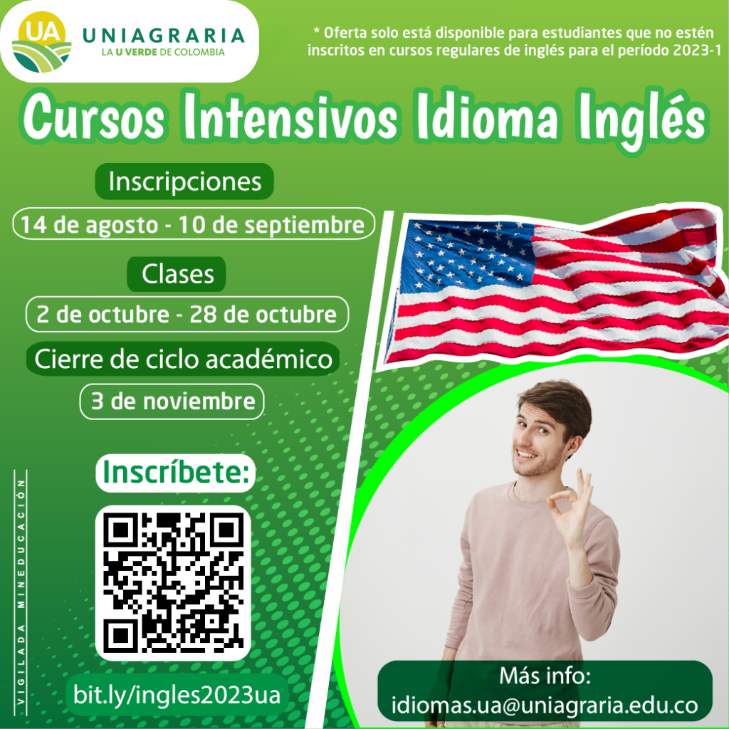 Cursos intensivos Idioma Inglés