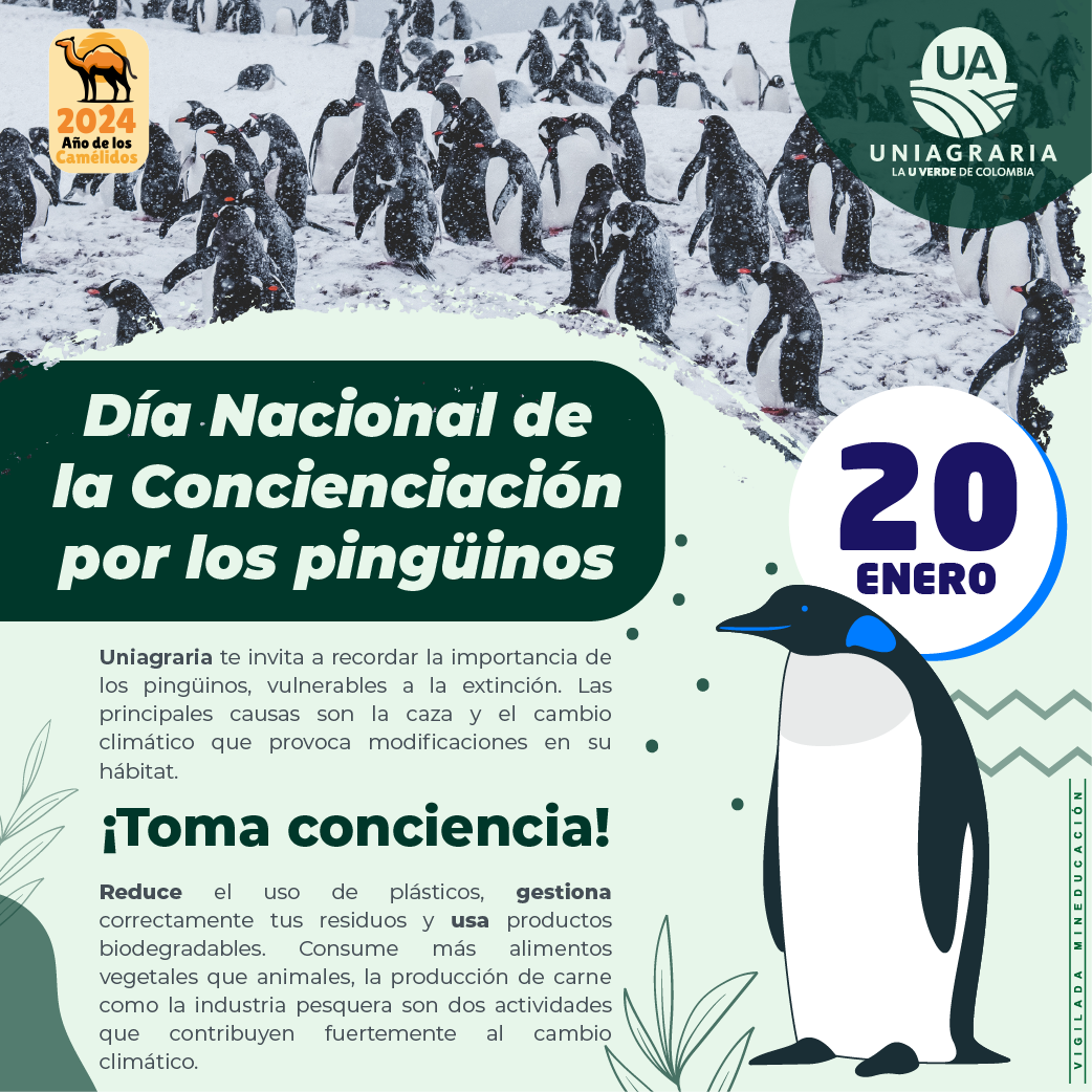 Día Mundial de la Nieve