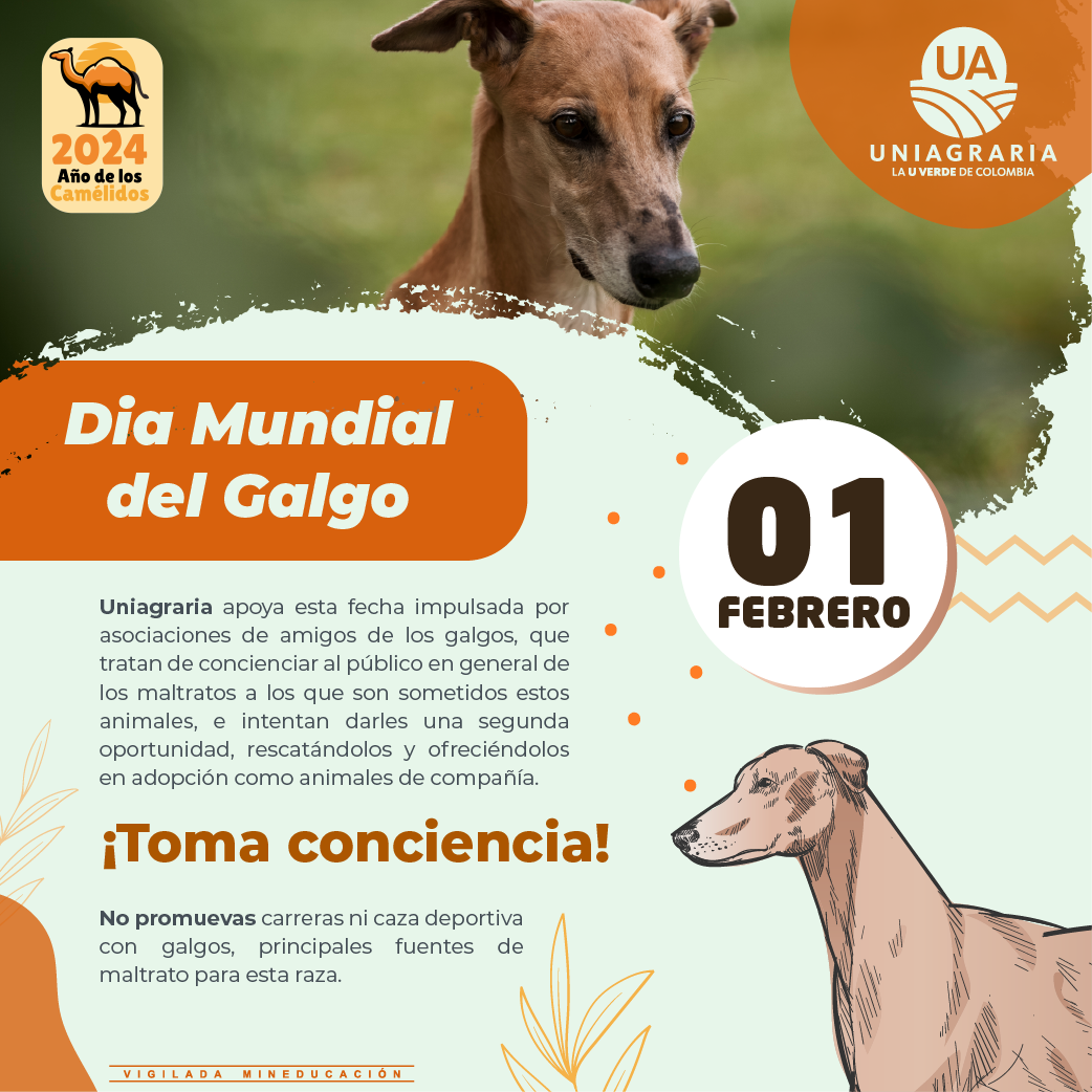 Día Mundial de los Humedales