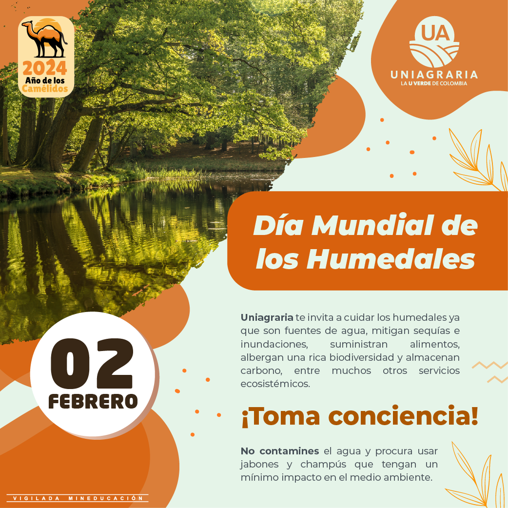 Día Mundial de los Humedales