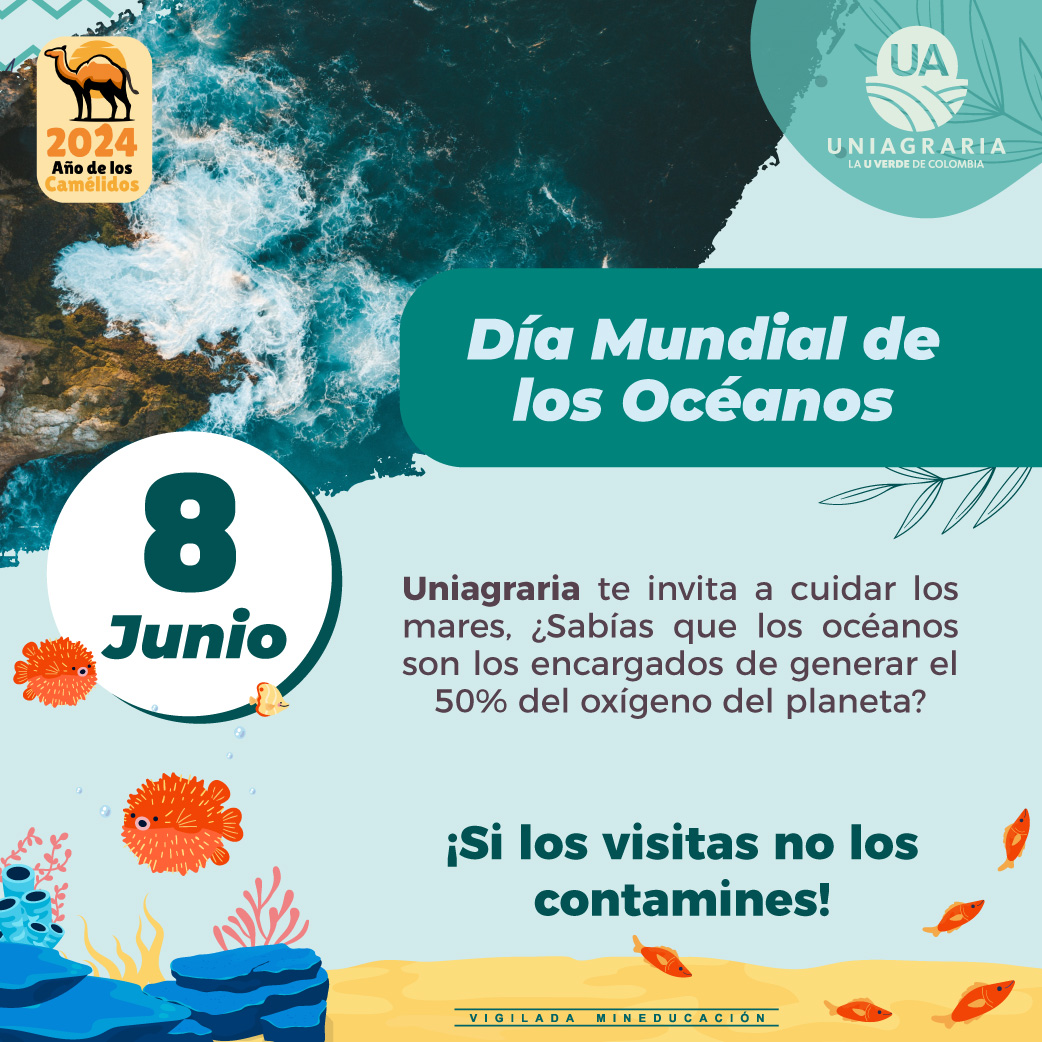 Día Mundial de los Océanos