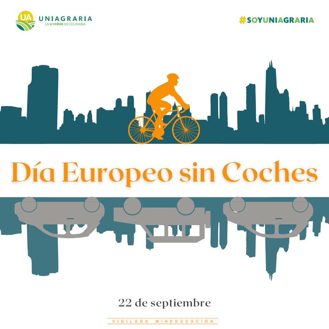 Día Europeo sin Caches