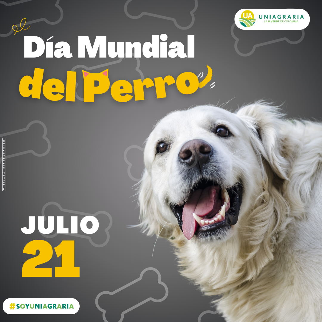 Día mundial del Perro