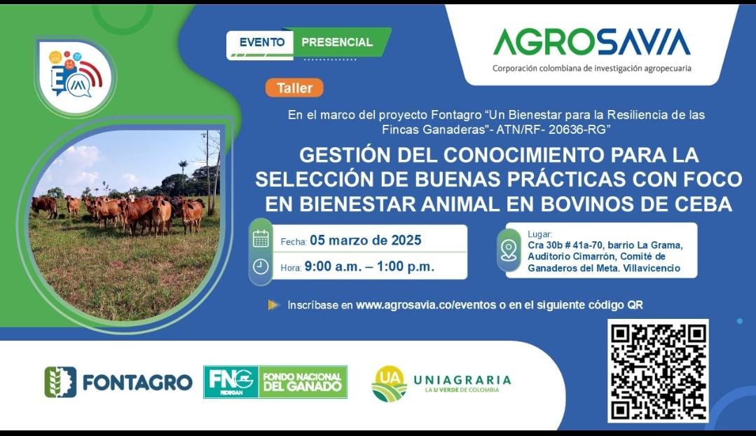 Gestión del conocimiento para la selección de buenas practicas con foco en bienestar animal en ovinos