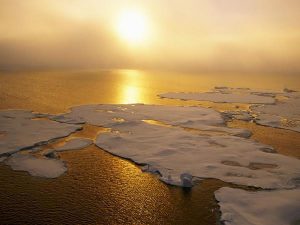 Cambio climático: Una invitación inaplazable