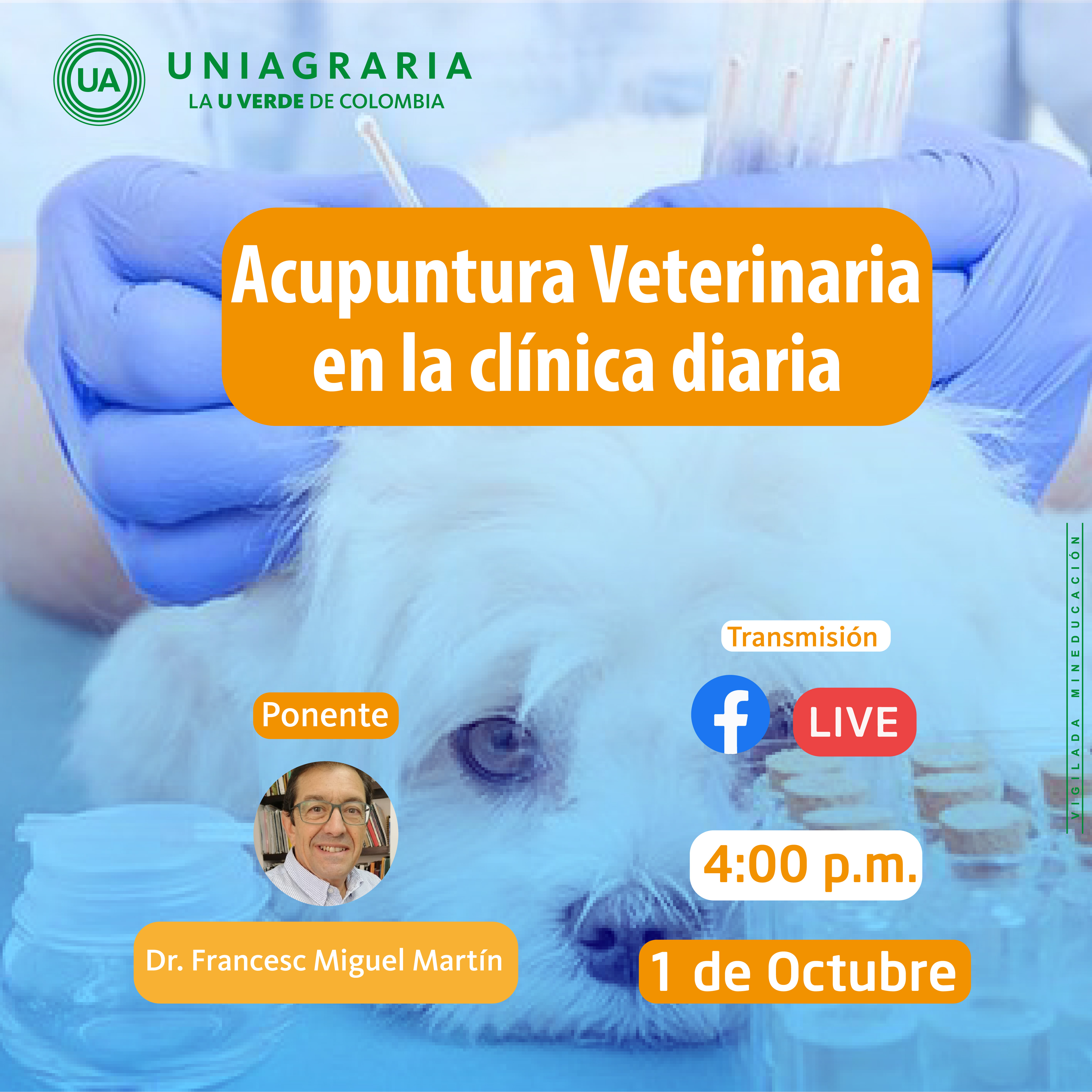 Acupuntura Veterinaria en la clínica diaria