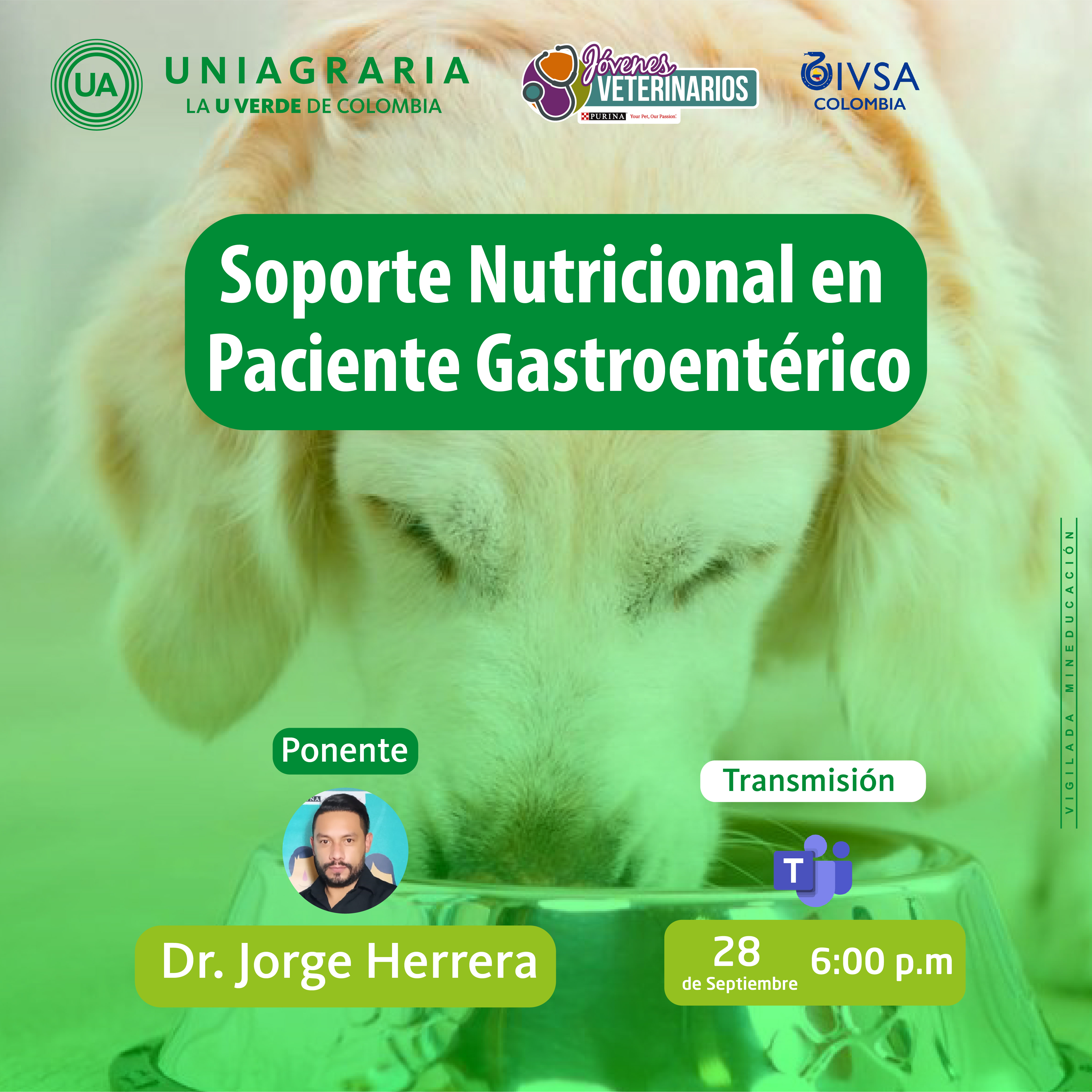 Soporte Nutricional en Paciente Gastroentérico