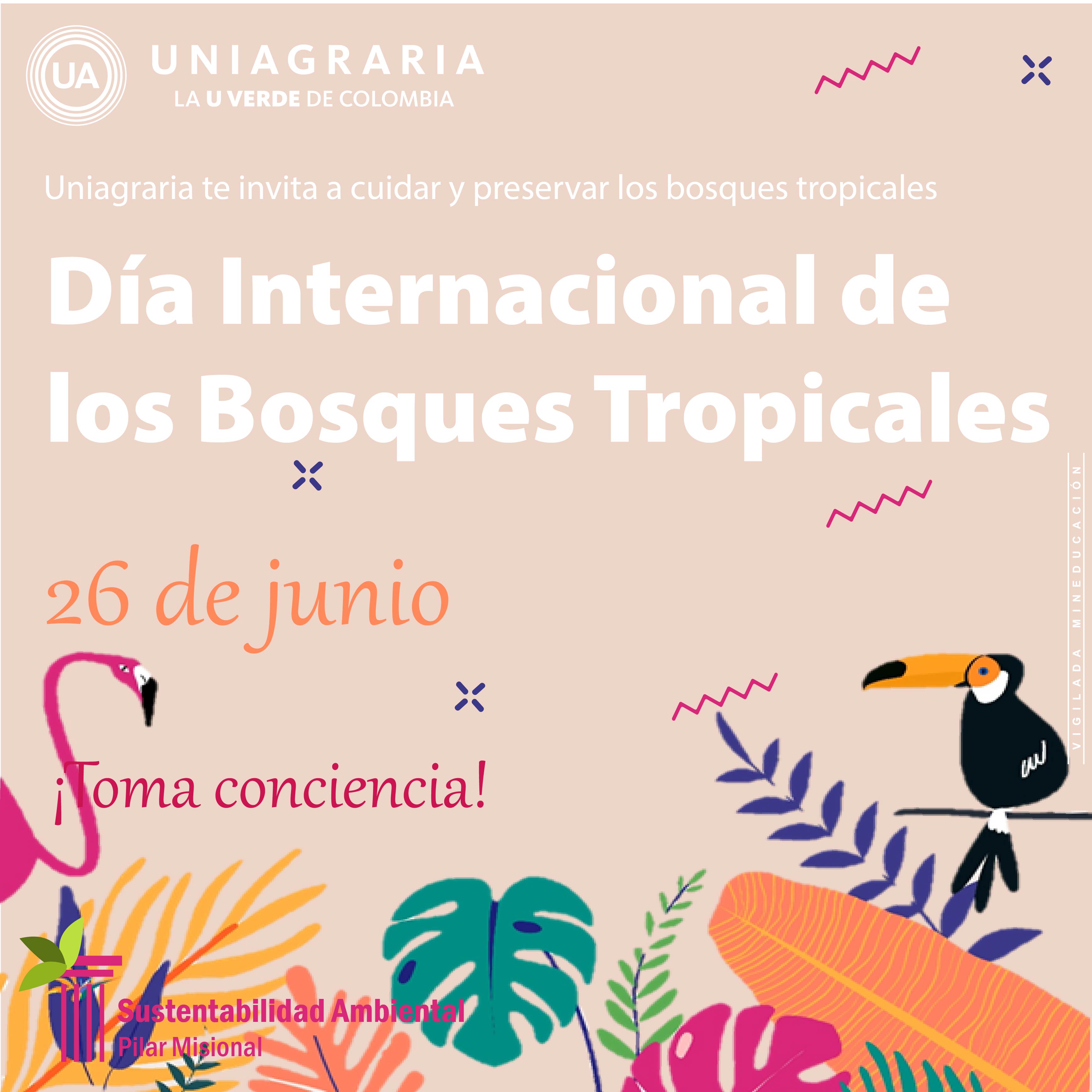 Día Internacional de los Bosques Tropicales