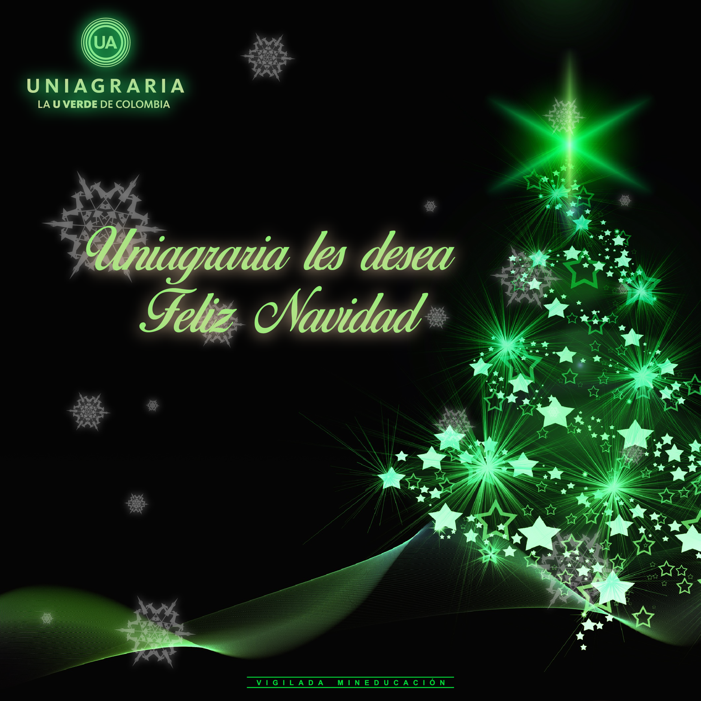 Uniagraria les desea una Feliz Navidad