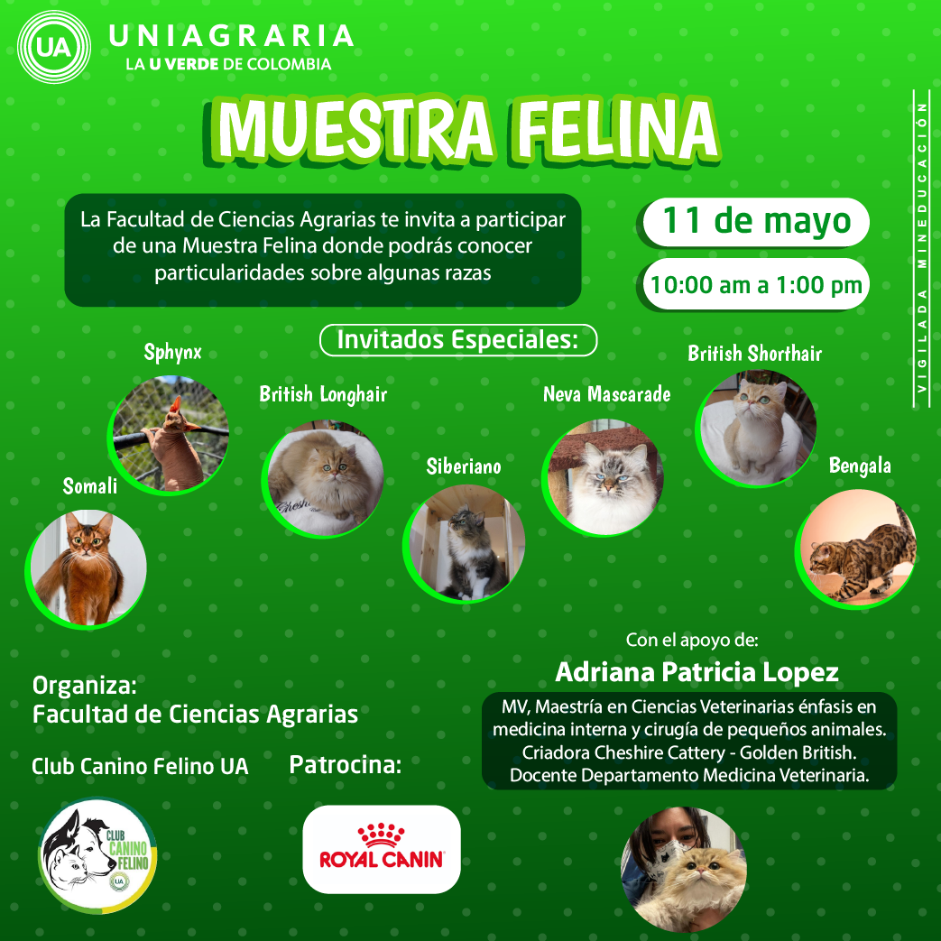 Celebración del día del Médico Veterinario 2022