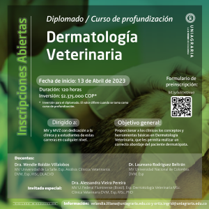 Diplomado – Curso de profundización en Dermatología Veterinaria