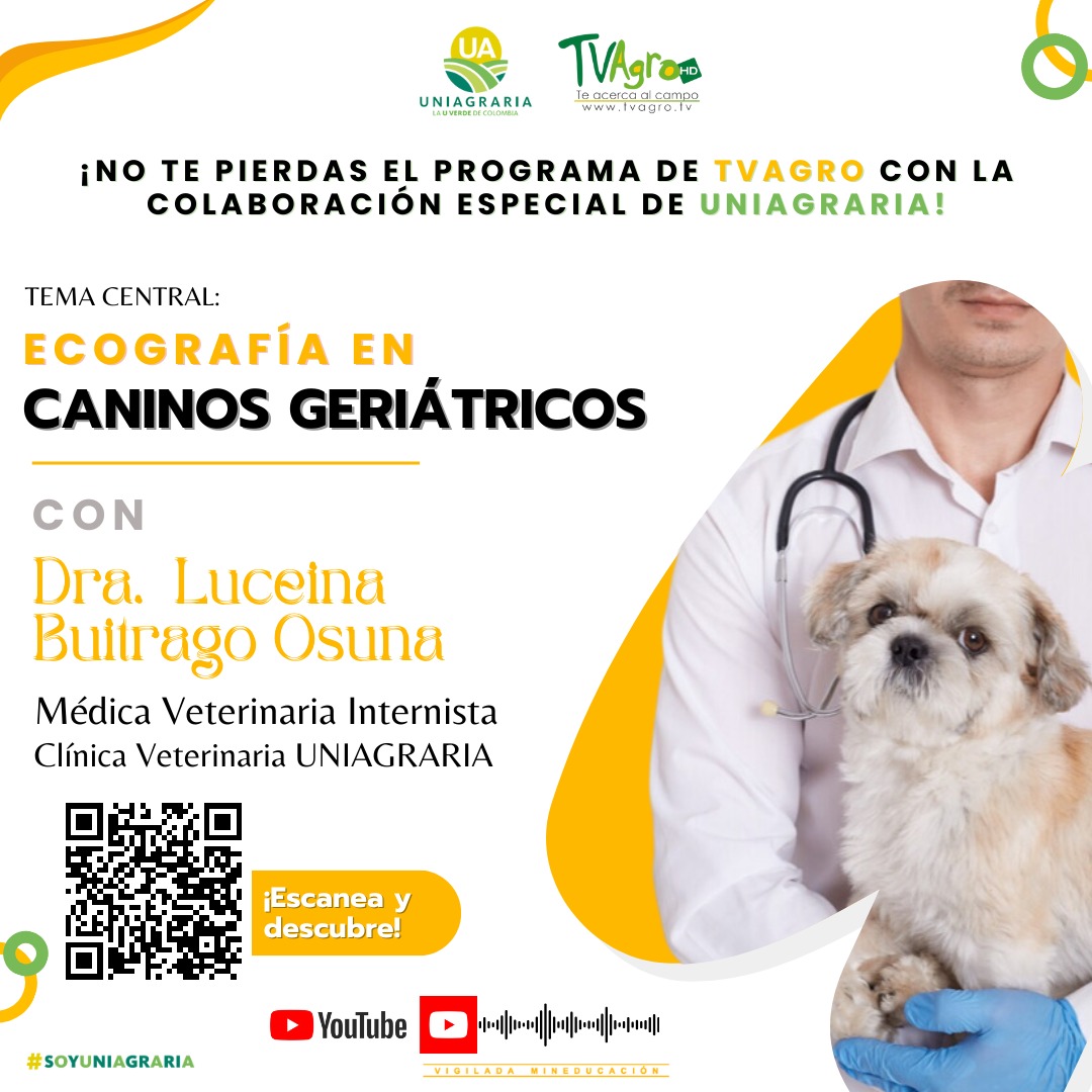 TvAgroEcografiasEnCanino