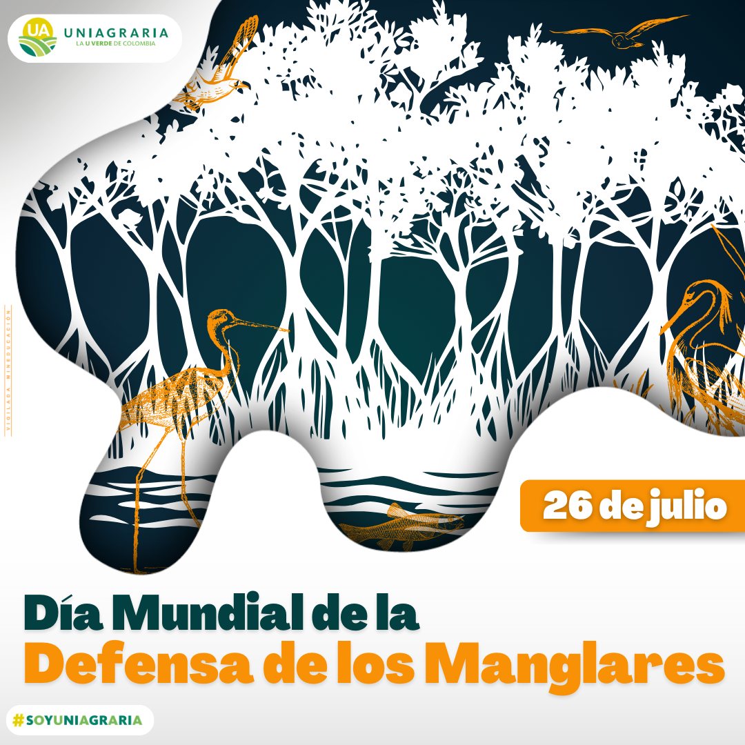 Día mundial de la Defensa de los Manglares
