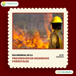Día mundial de la prevención de incendios forestales
