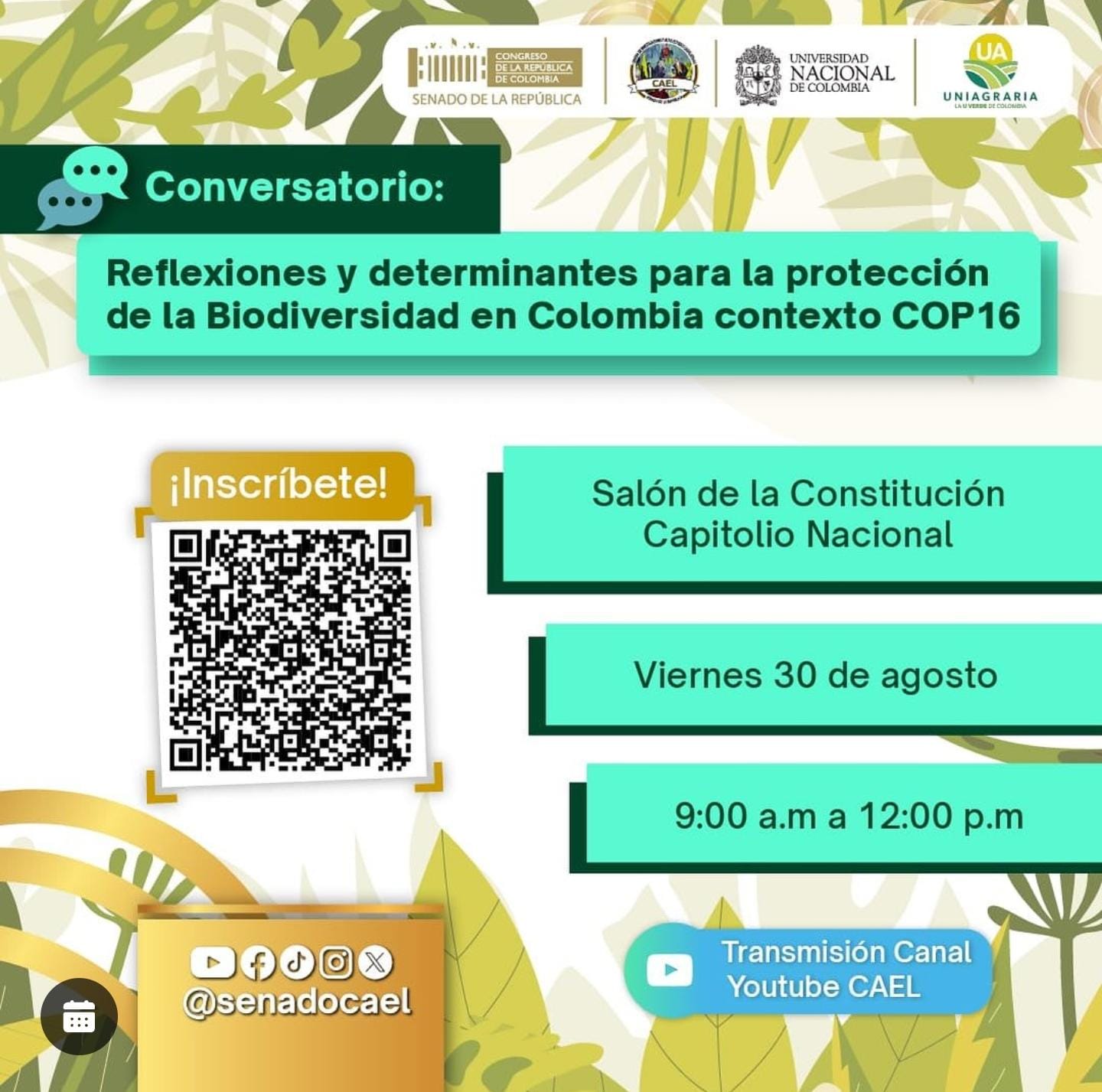 Reflexiones y determinantes para la protección de la Biodiversidad en Colombia contexto COP16