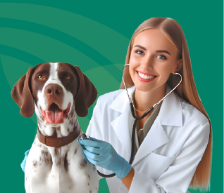 Medicina veterinaria - Programas-06