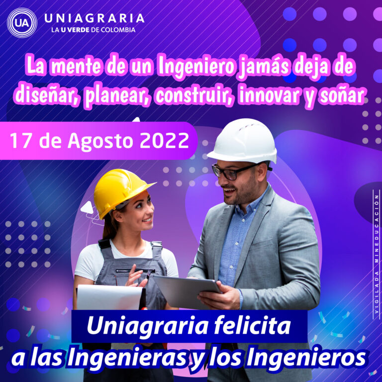 DiaIngeniero