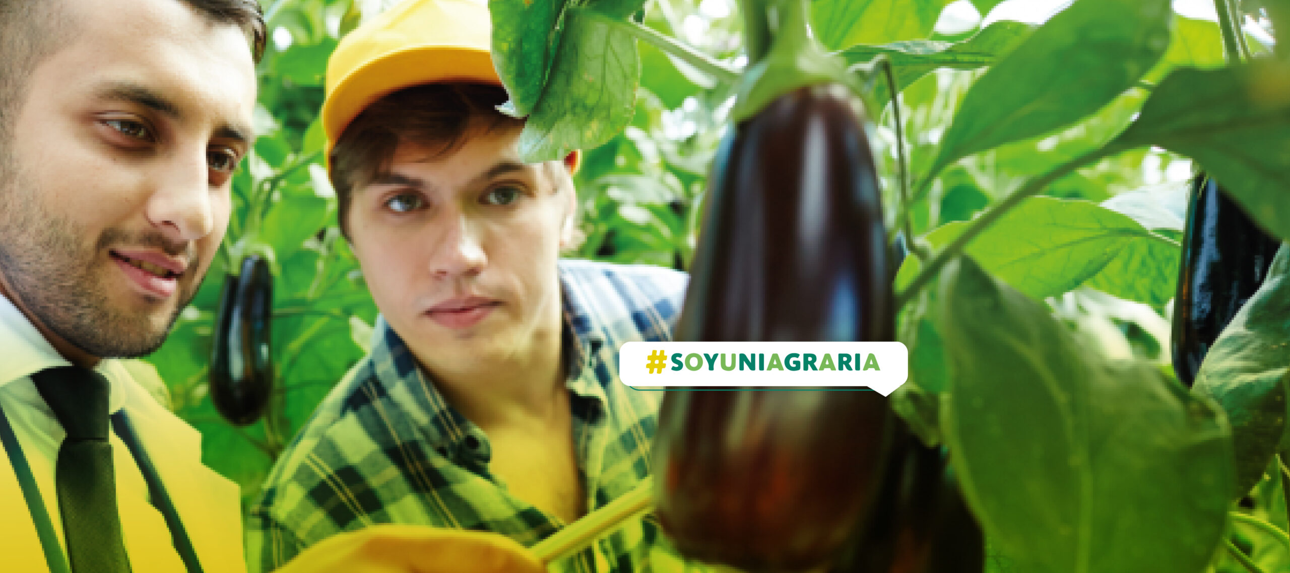 Diplomado en Extensión Agropecuaria