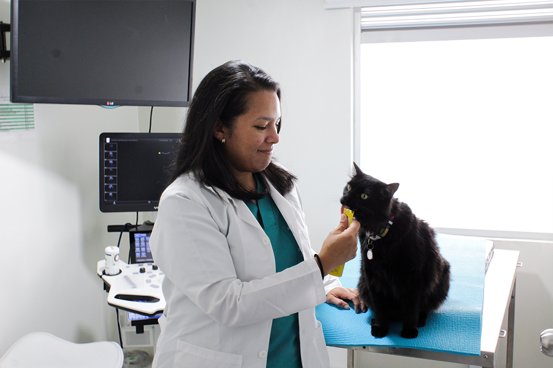 EquipoClinicaVete_07