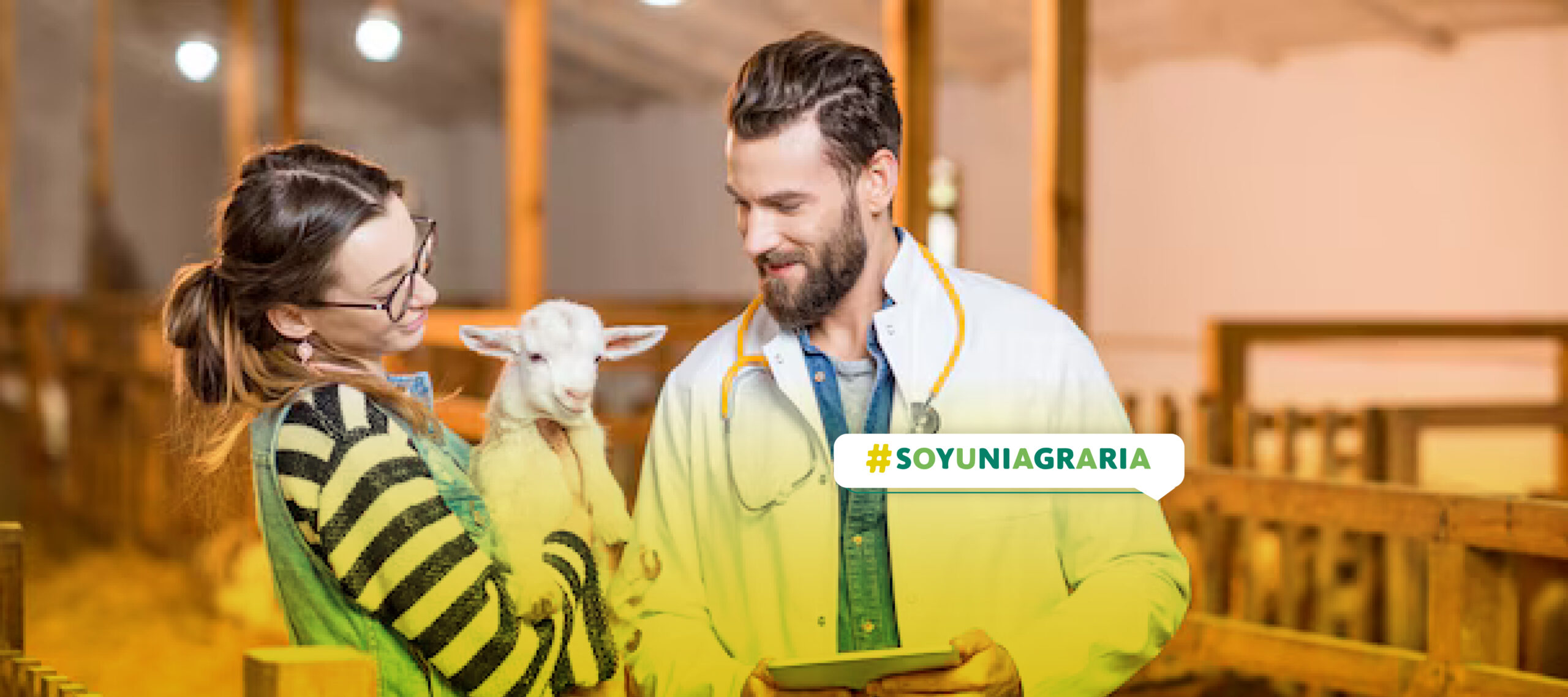 Inocuidad alimentaria- Enfermedades transmitidas por alimentos