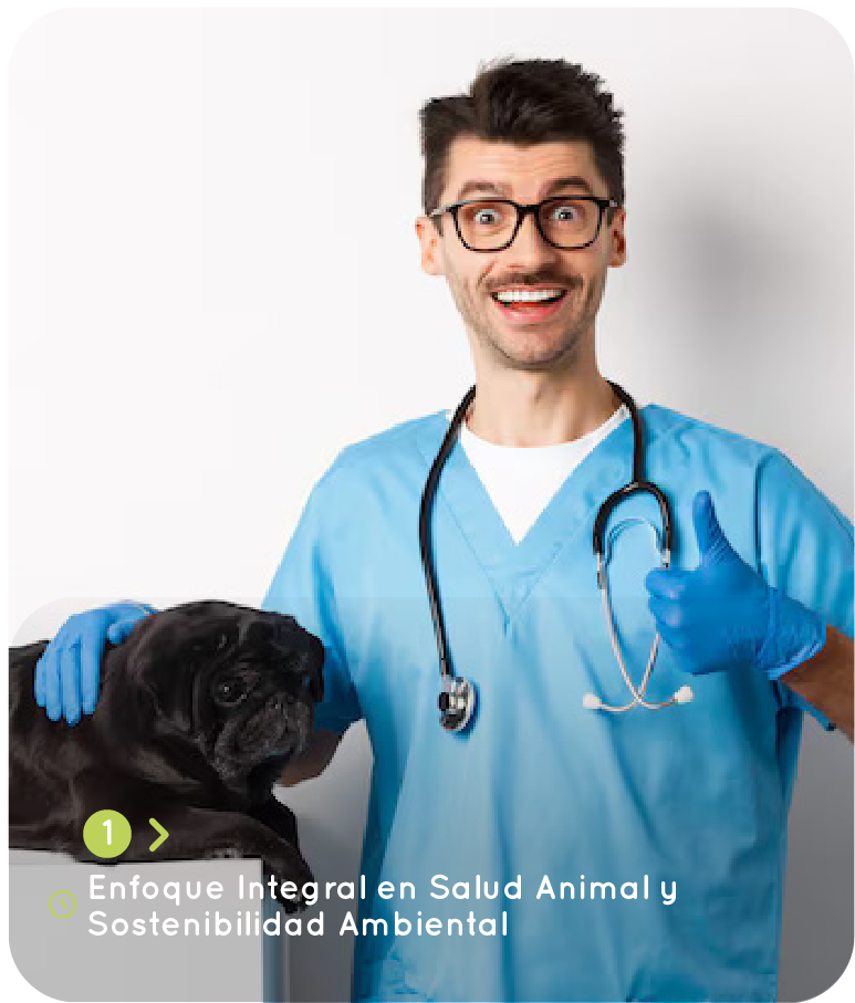 Medicina Veterinaria-10
