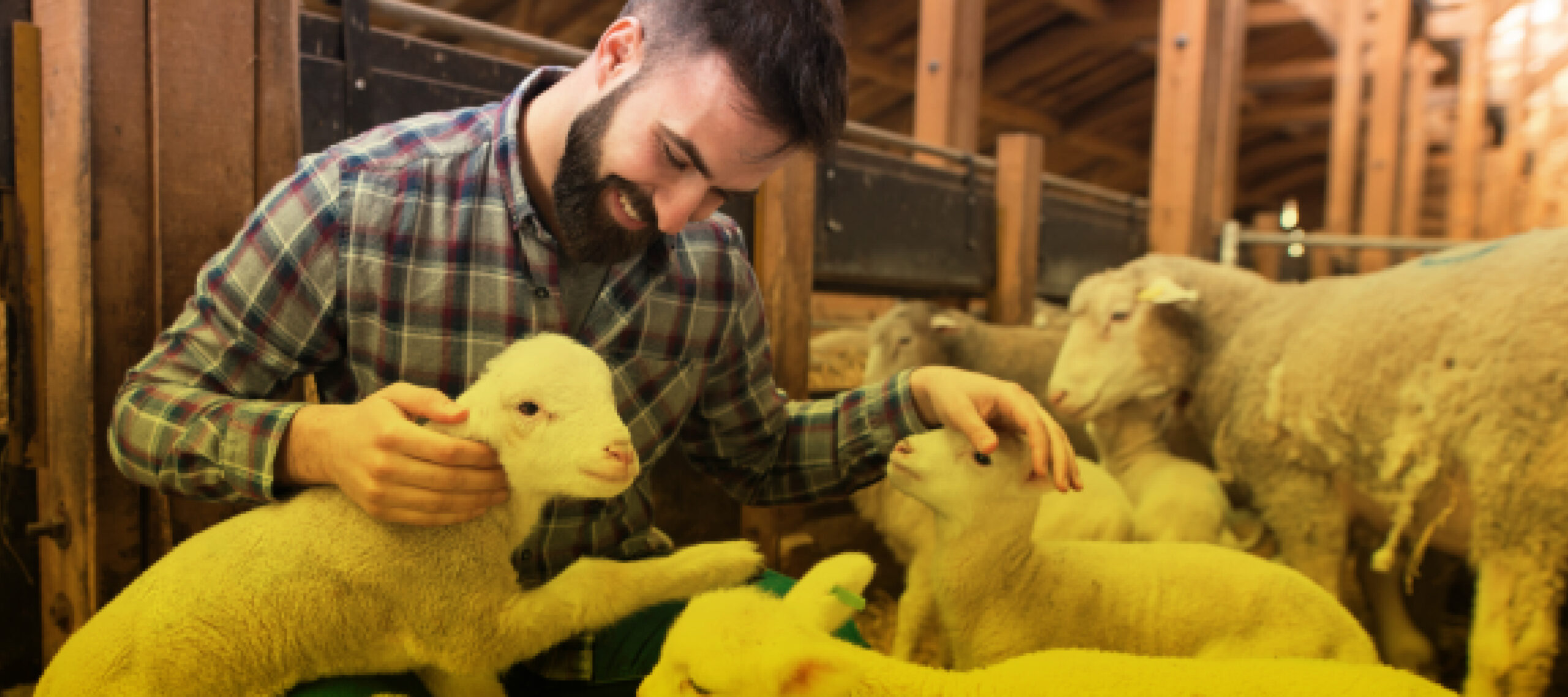 Diplomado de profundizacion en gestión estrategica