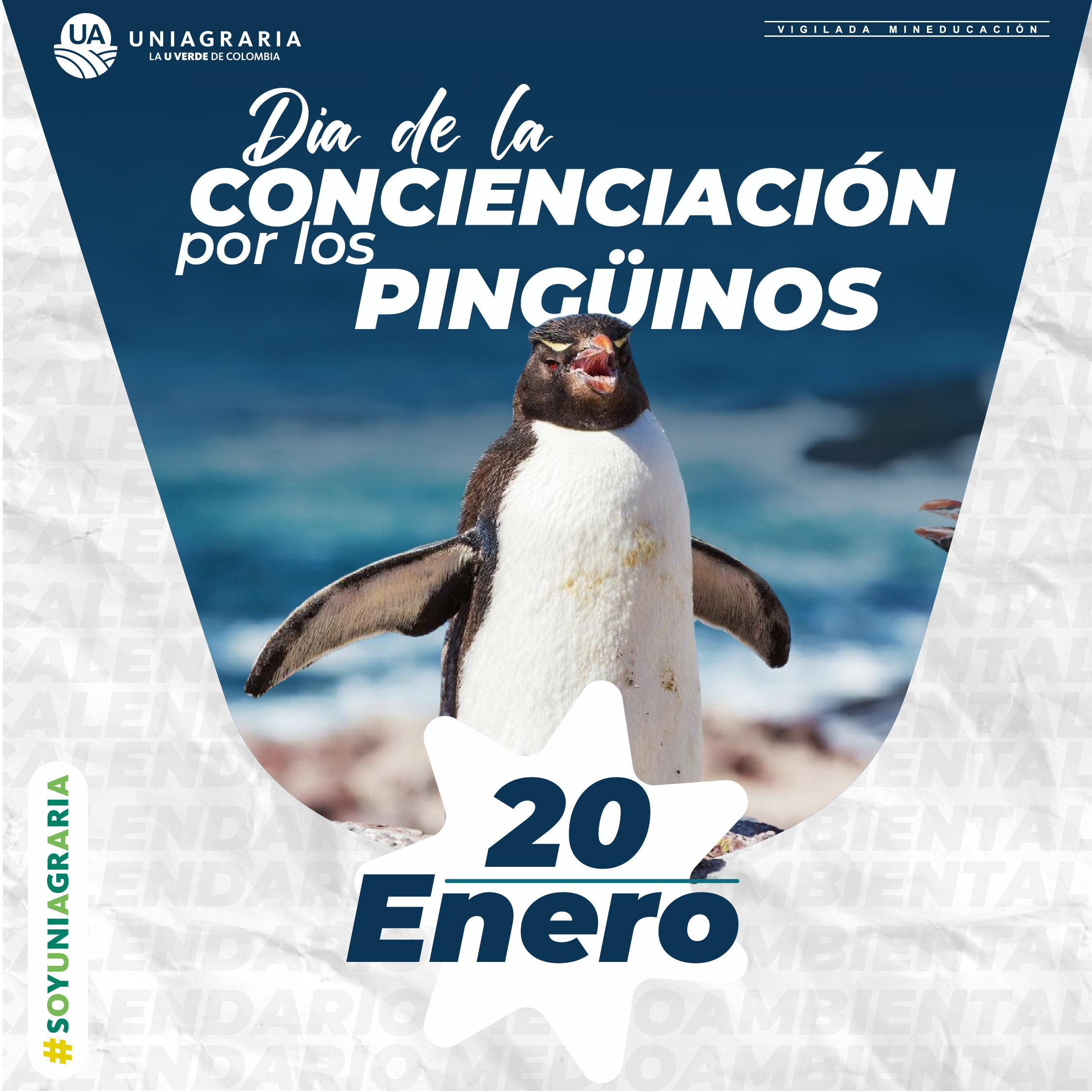 Día de la concienciación por los pingüinos