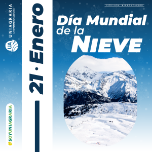 Día Mundial de la Nieve