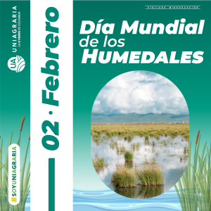 Día mundial de los humedales