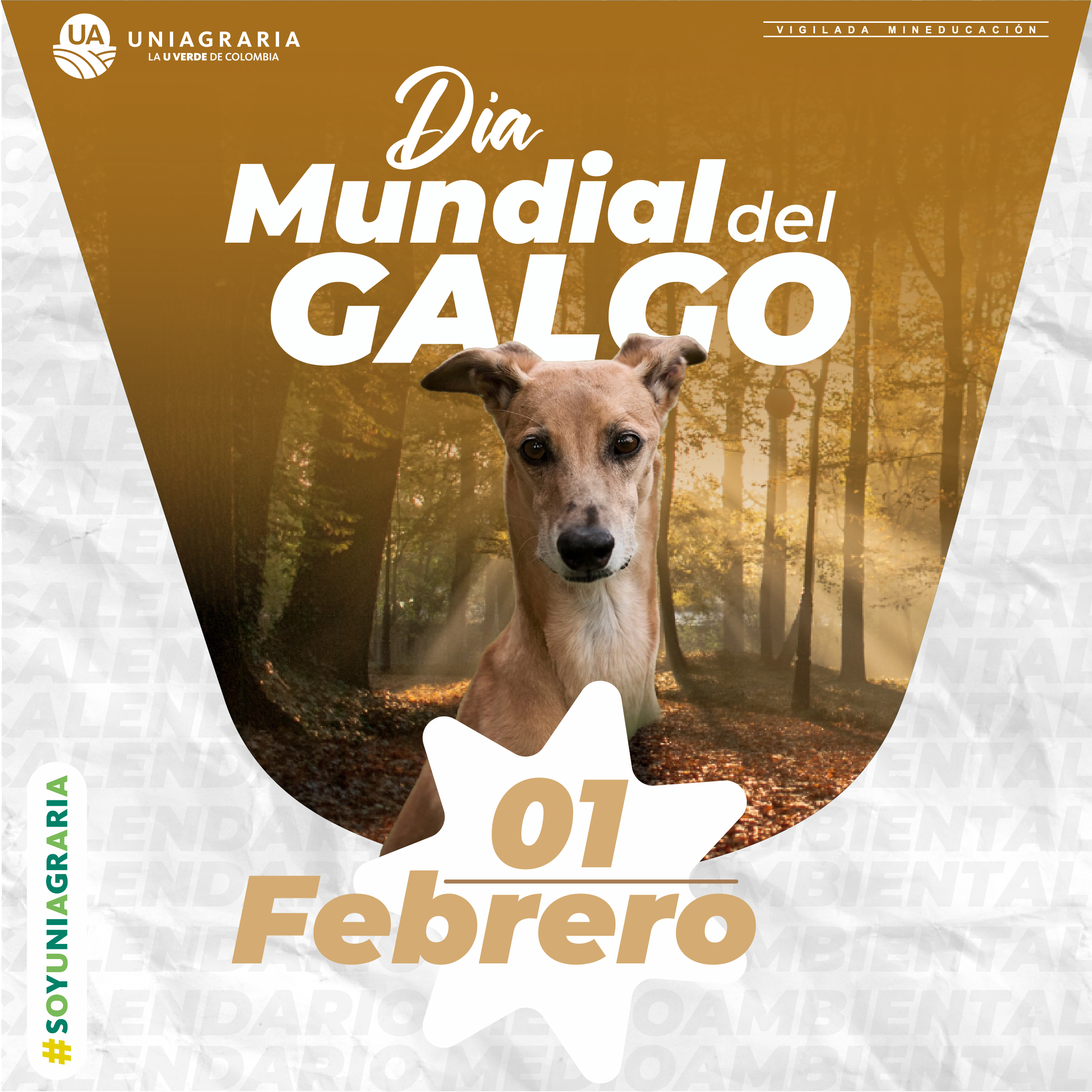 Día mundial del Galgo