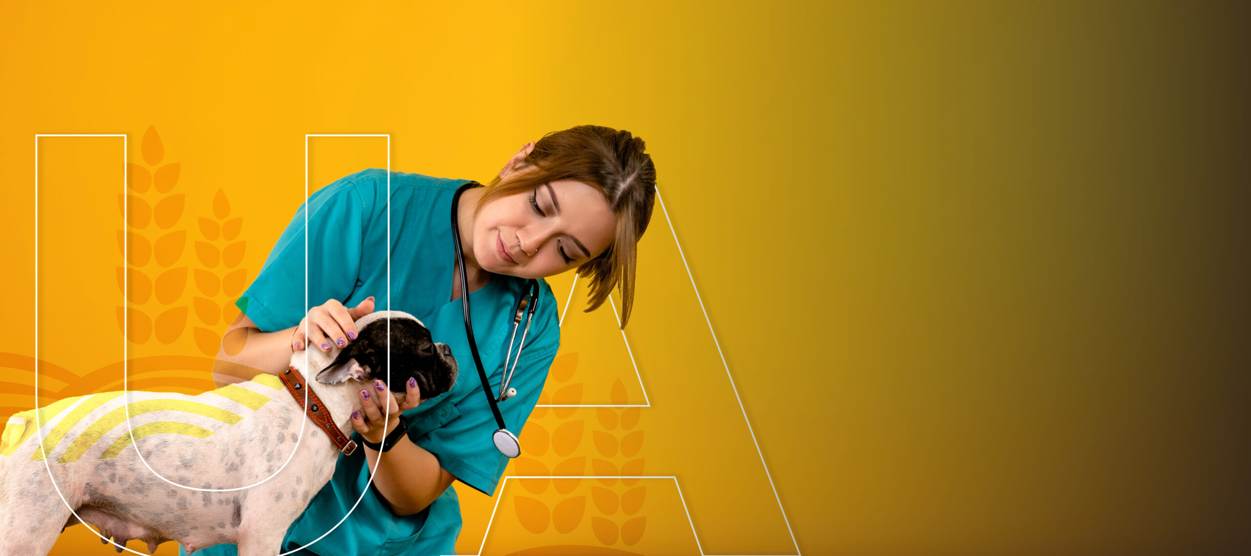 especializacion en salud publica veterinaria