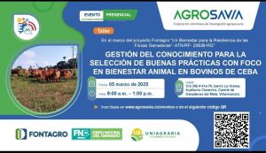 Gestión del conocimiento para la selección de buenas practicas con foco en bienestar animal en bovinos de ceba