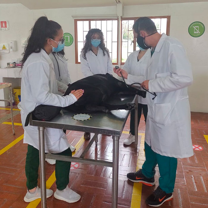 Img_LabPractVeterinarias_2