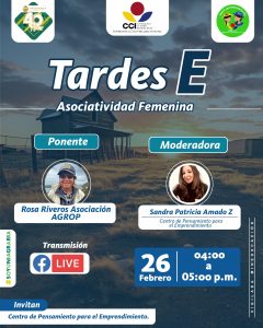 Tardes E – Asociatividad femenina