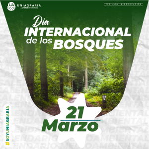 Día Internacional de los Bosques