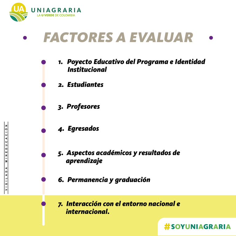 InfografiaAutoeva_Derecho02-768x768
