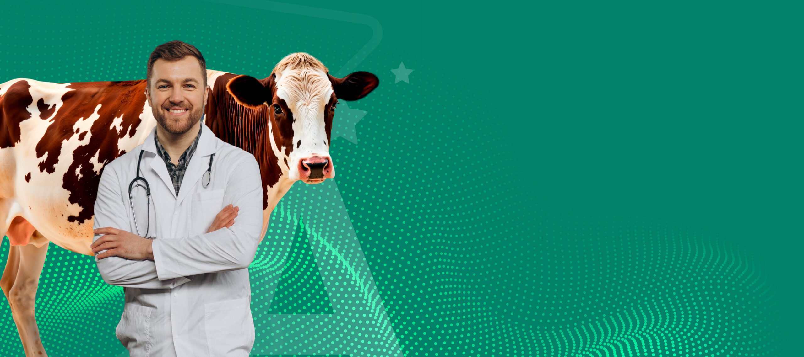 Especializacion en bienestar y etimologia