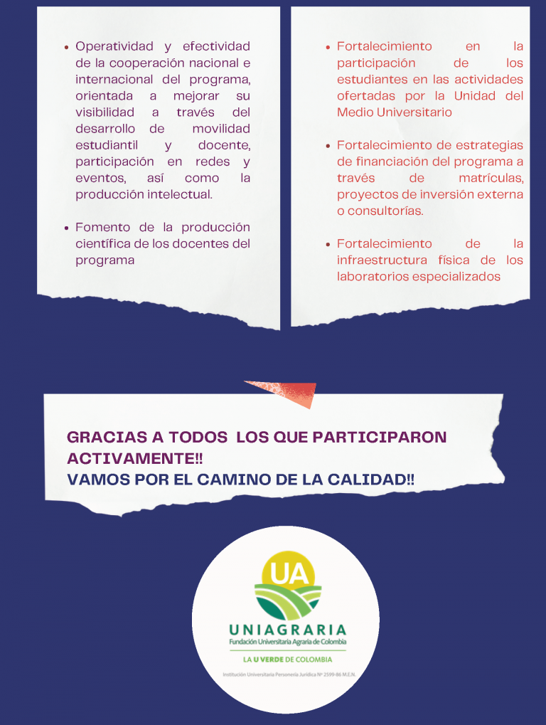 InfografiaMaestria-06-768x1019