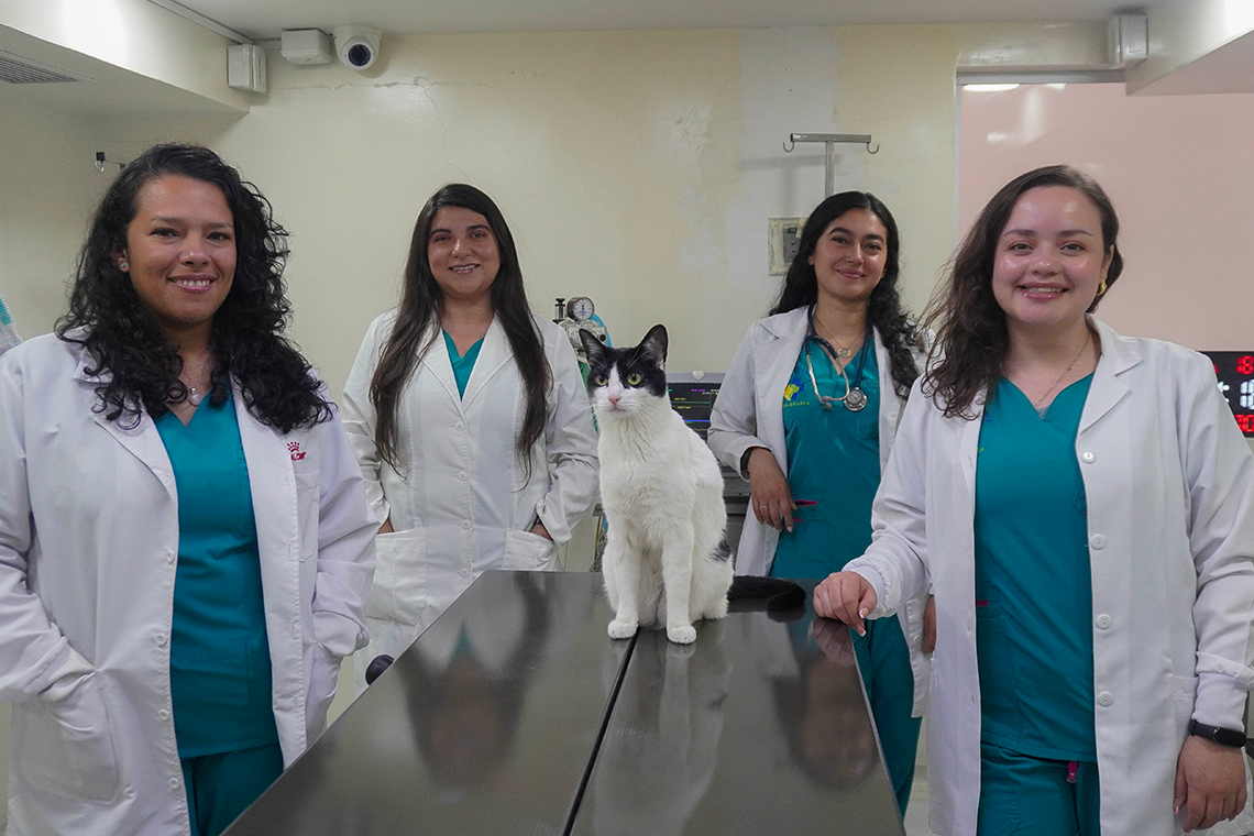 FotografiaEquipoClinicaVeterinaria-02