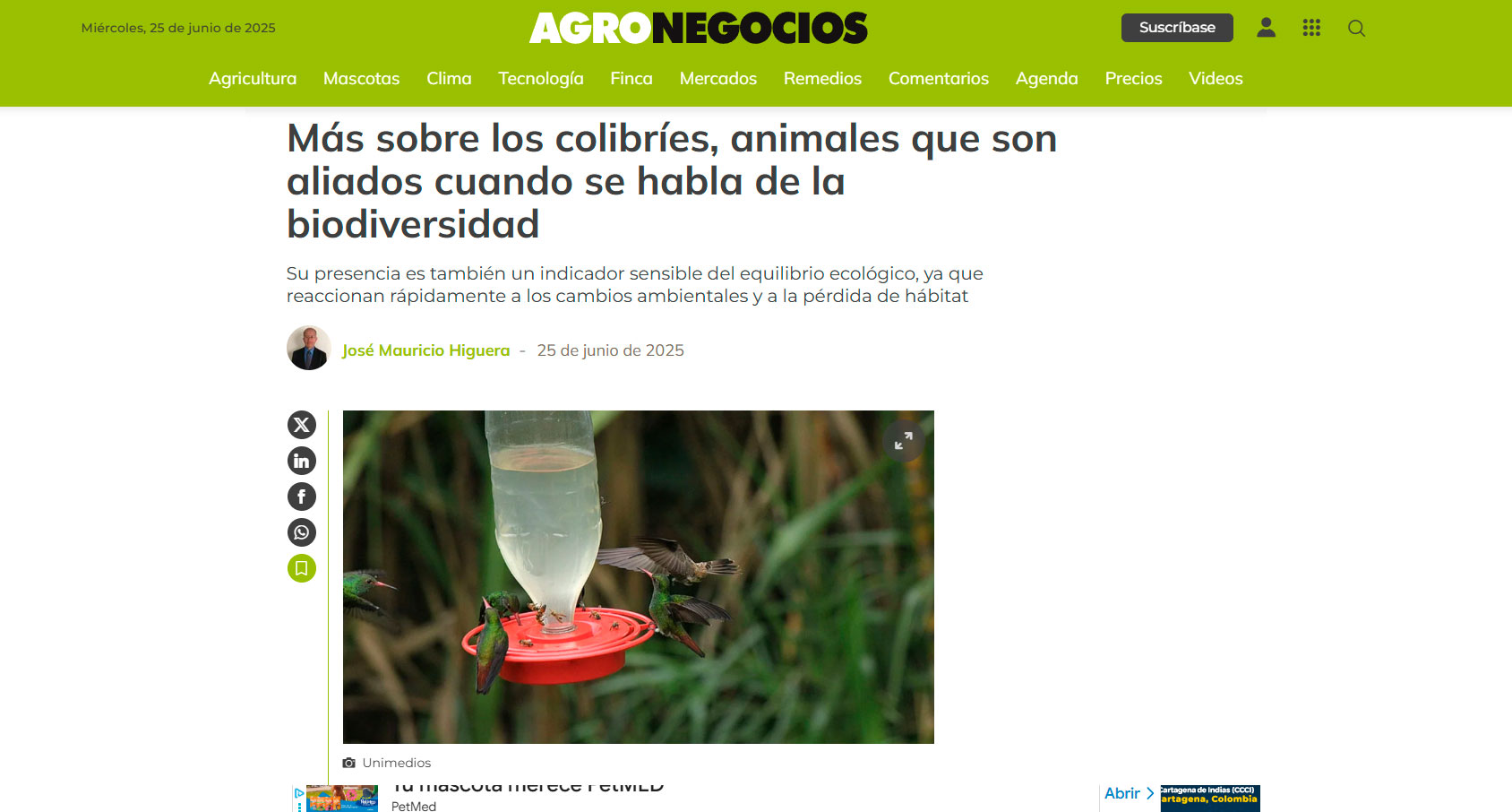 AgronegociosColibries