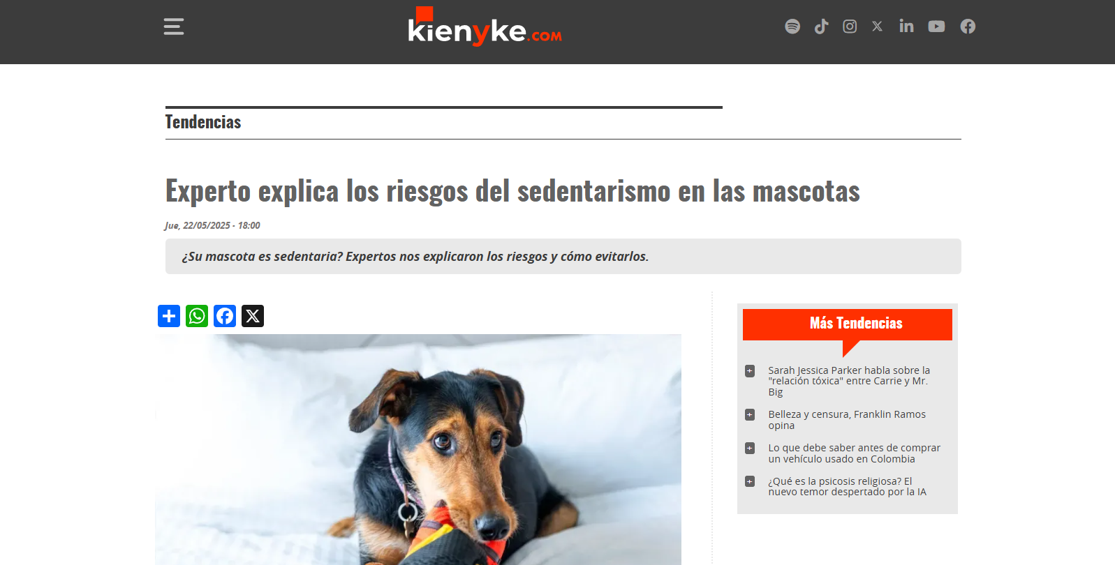 SedentarismoEnMascotas