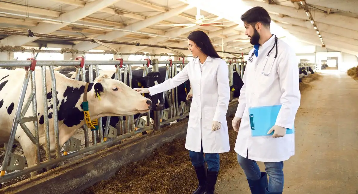 becas-para-medicos-veterinarios-en-uniagraria-1293099
