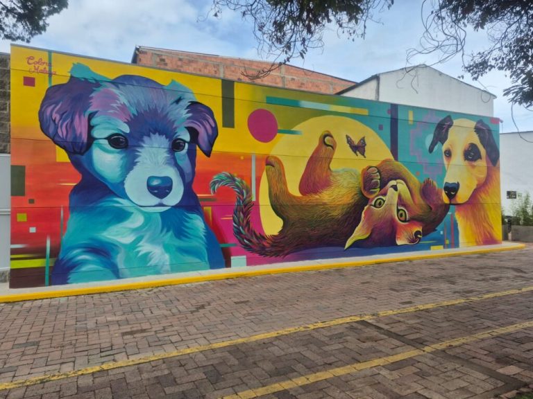 MuralClinicaVeterinariaUniagraria