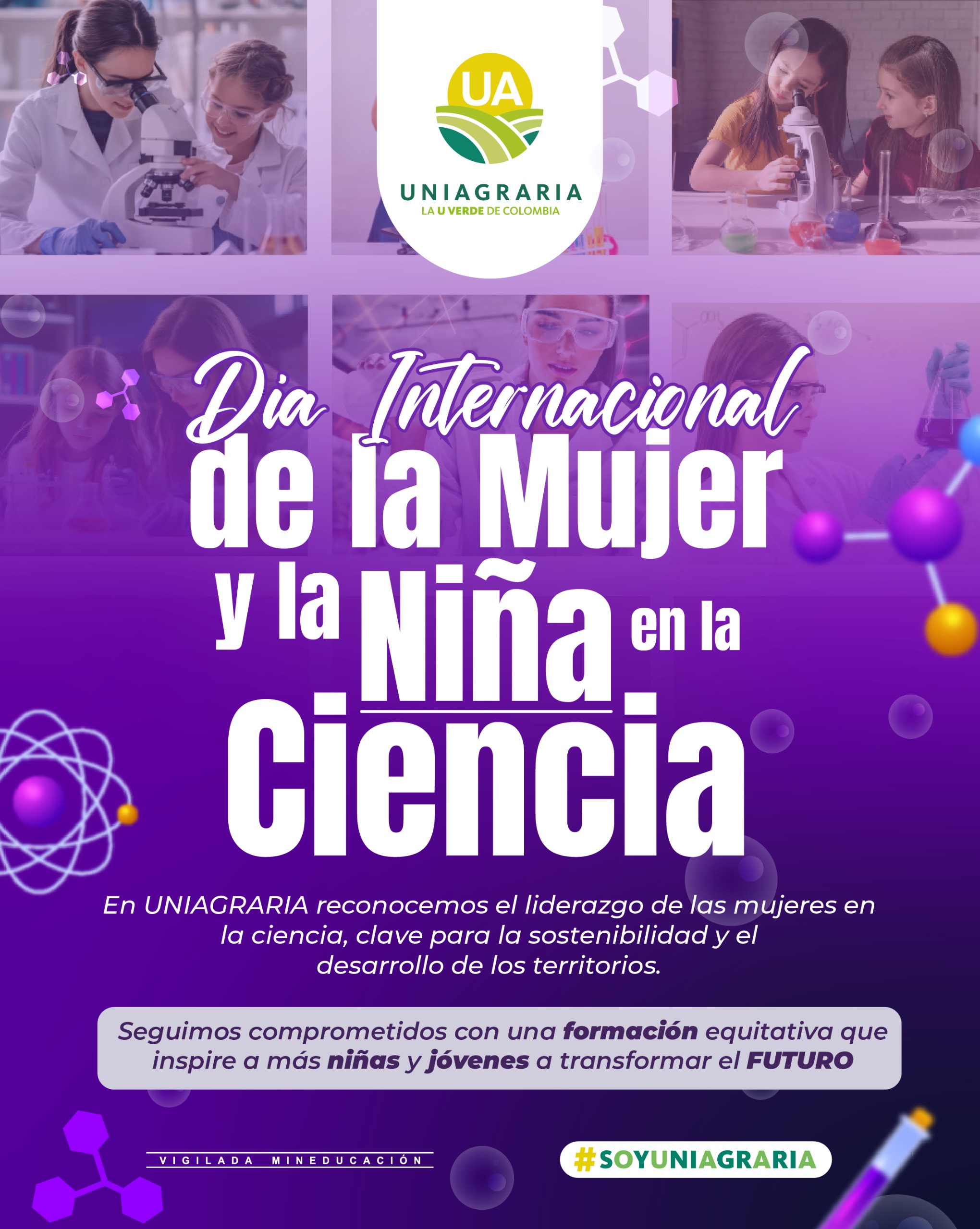 WhatsApp Image 2026-02-11 at 14.30