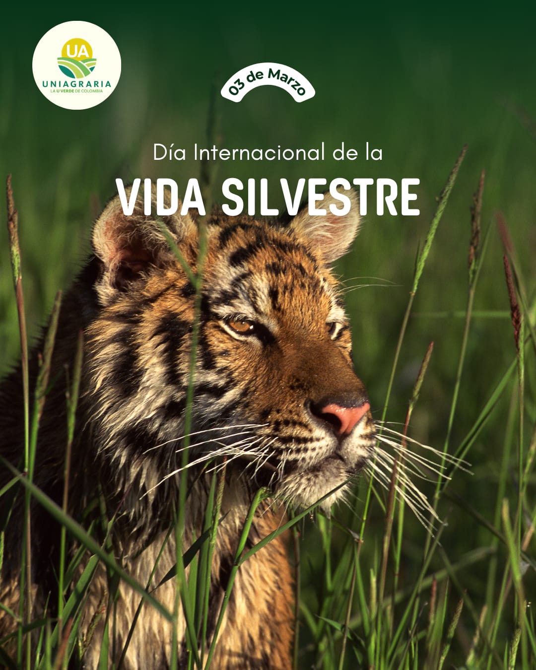 WhatsApp Image 2026-03-03 at 10.22