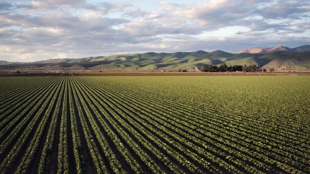 Agro_Marzo_2026
