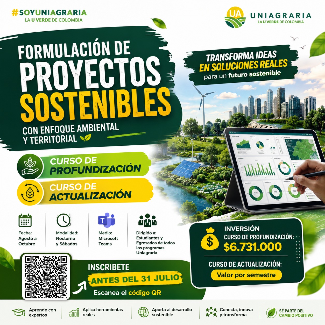 Formulacion de proyectos