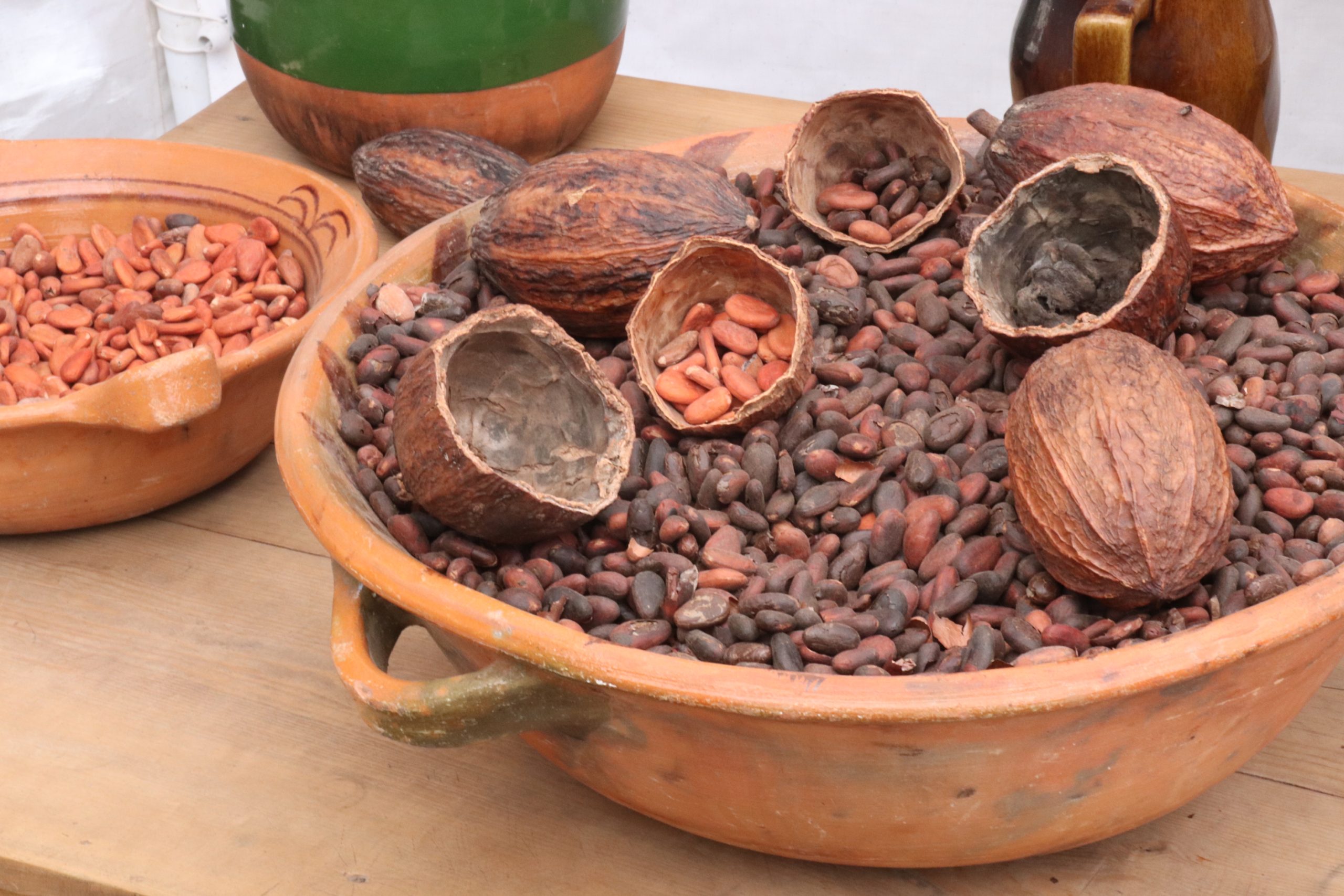 Granos_de_cacao